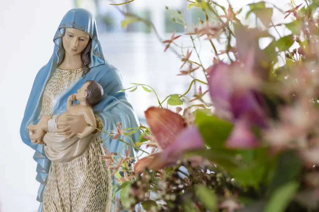 Foto destaque da Galeria () ()