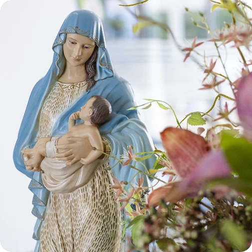 Provincia Marista Brasil Centro Norte